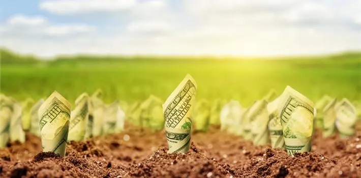 觅梦堂：闷声赚钱的副业你知道吗？缩略图